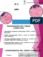 3 UAI Histo Conectivo (1) - Tagged