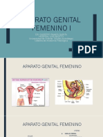 Aparato Genital Femenino I