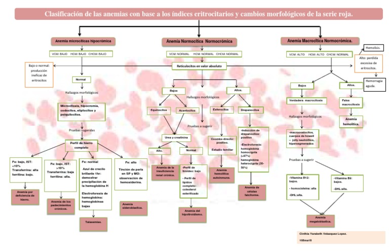 algoritmo-clasificacion-de-anemias-descargar-gratis-pdf-anemia