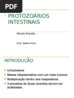 Cópia de PROTOZOÁR..