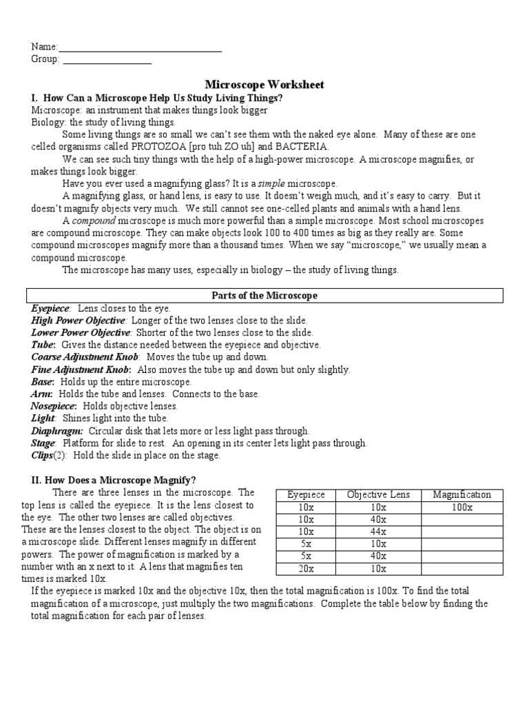 Microscope Parts and Functions Worksheet | PDF | Microscope | Optics