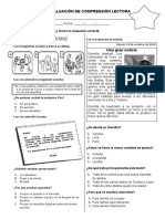 Evaluación Comprension