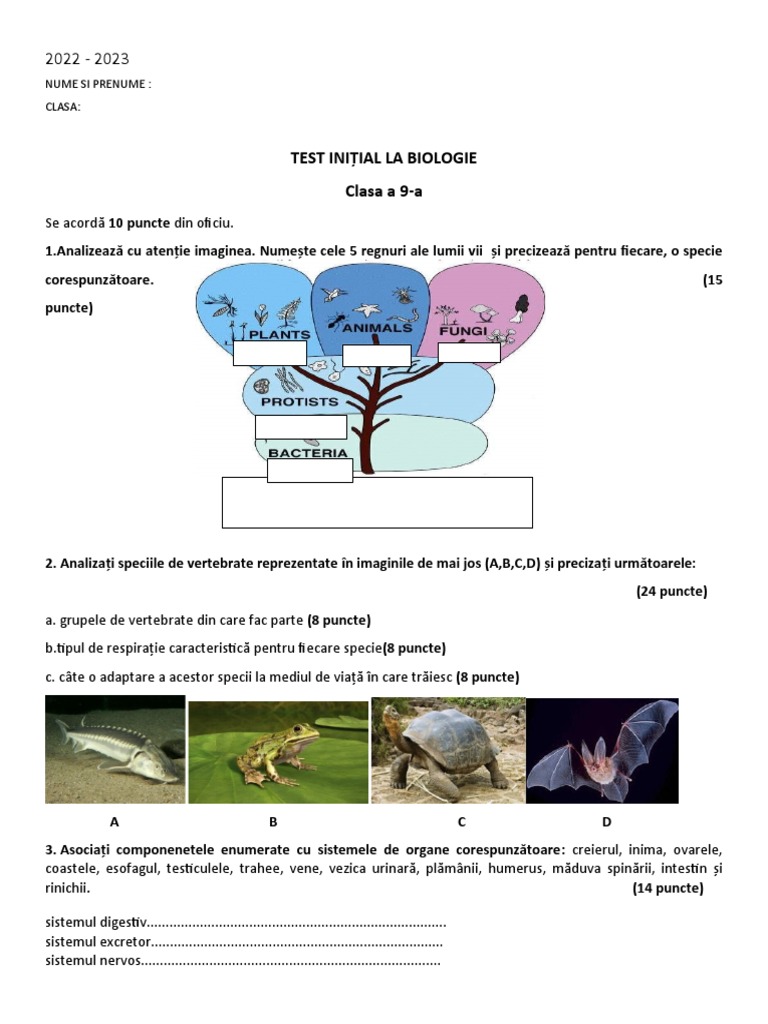 2023 Test Initial Cls 9 | PDF