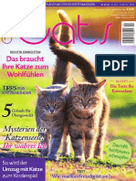 Our Cats - April 2019