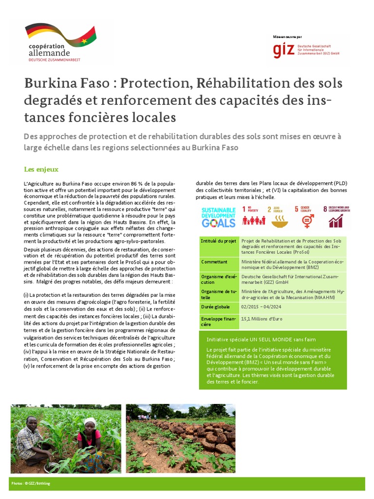 Réhabilitation des sols au Burkina Faso | PDF | Agriculture ...