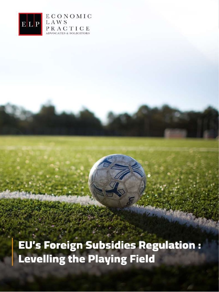 FSR Book Final | PDF | European Union | Subsidy