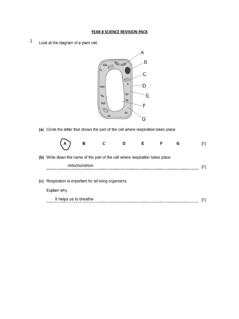 Science Revision Answers Year8 PDF