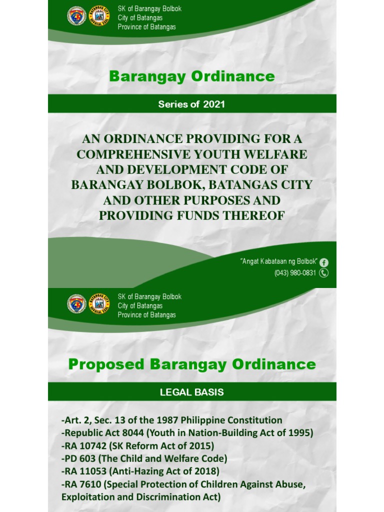 Youth Code Bolbok, Batangas City | PDF | Justice | Crime & Violence