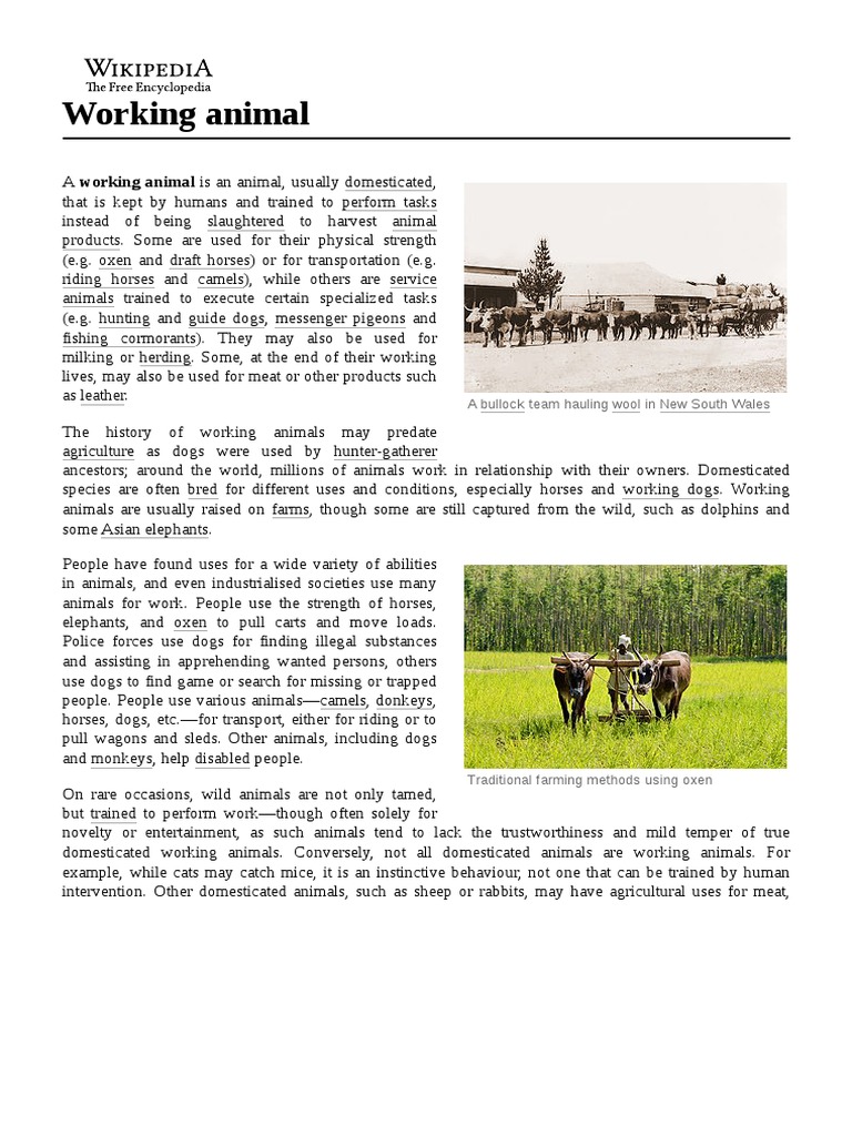 Working Animal | PDF | Domesticated Animals | Animals And Humans
