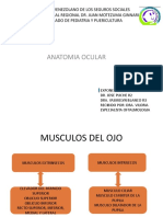 Anatomia Del Ojo Exitos