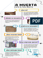 Infografía Cronología Línea de Tiempo Doodle A Mano Colorido Blanco