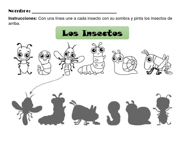 Hoja de Trabajo Del Insecto | PDF