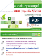 Bookdigestive PDF