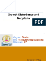 Talk Lab Growth Disturbance and Neoplasia.174594.1578902564.4599