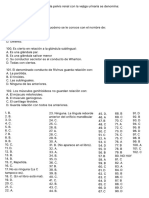 Anatomía 12