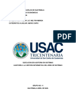 Fase II Ejecución Auditoria Informatica A La Gestion