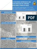 Poster Sbnec 2010 AA Grasi - Final