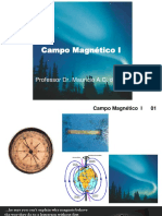 Campo Magnetico 1