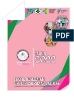 Profil Uptd Puskesmas Lalolae Tahun 2022