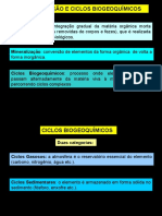 Teoria Ecológica - Ciclos Biogeoquímicos