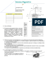 Sistema Digestivo 8°-2023