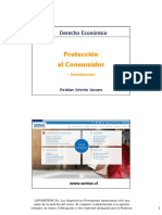 2.1 Proteccion Consumidor-Intro - PPT 2021