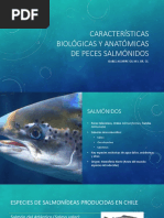 Anatomía del Salmón y sus Aletas | PDF | Sistema digestivo humano ...