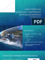 1 Características Biológicas y Anatómicas de Los Peces Salmónidos