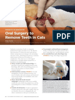 TVP-2022-1112 Dental Surgery Cats