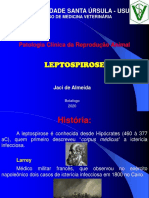 18 - Leptospirose