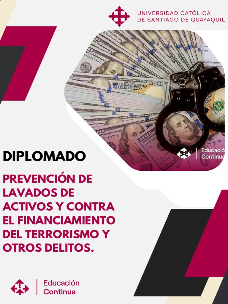 Brochure Lavado de Activos | PDF | Lavado de dinero | Derecho penal