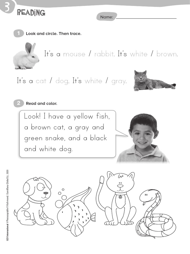 Reading animals worksheets pdf