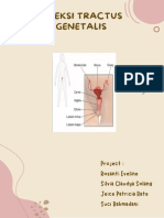 Booklet Infeksi Tractus Genetalis