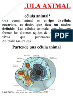 La Célula Animal