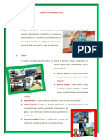 Impacto Ambiental 1