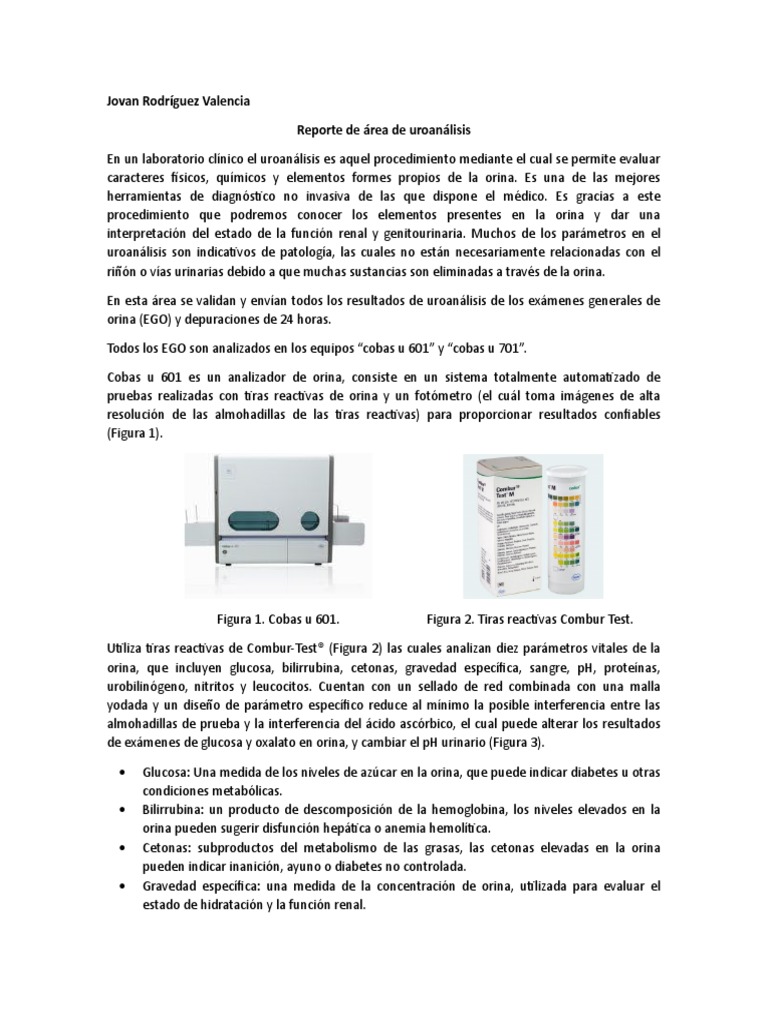 Reporte Jovan Rodríguez Valencia Uroanálisis | PDF | Medicina CLINICA ...