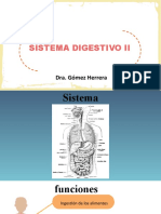 Sistema Digestivo Ii