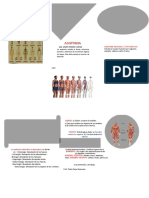 Anatomia Generalidades