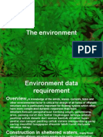 The Environment