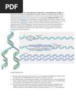 Mecanismos de Replicación del ADN | PDF | Replicación De Adn | Adn
