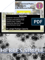 Herpes Simple Grupo C