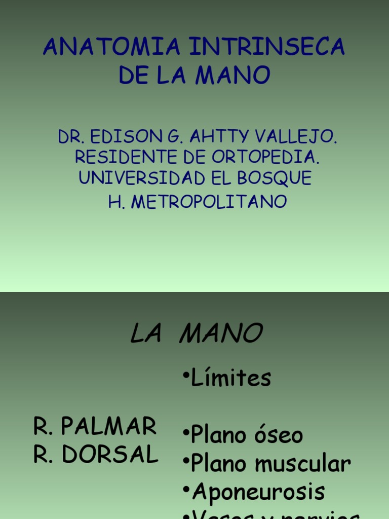 Anatomia de La Mano | PDF