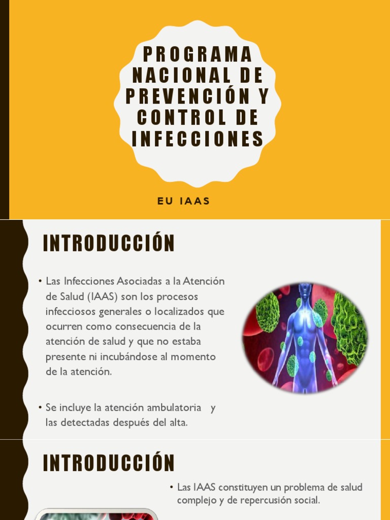 1 Programa Nacional De Prevención Y Control De Infecciones Pdf