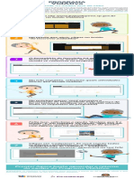 Infografico Vidativa Af V 02 1 1 1