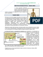 Tejido Conectivo Esq - T. Oseo