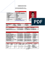 Curriculum Vitae Kiko Pati Putra Sigalingging