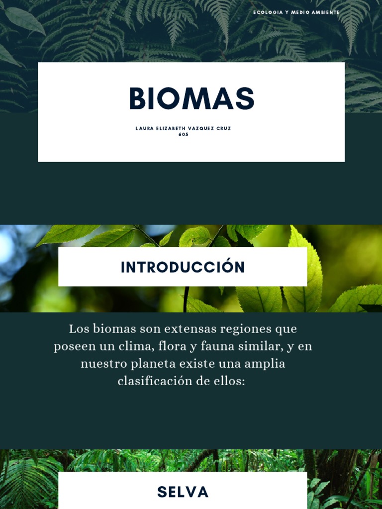 Biomas Presentación | PDF | Desierto | Ciencias de la Tierra