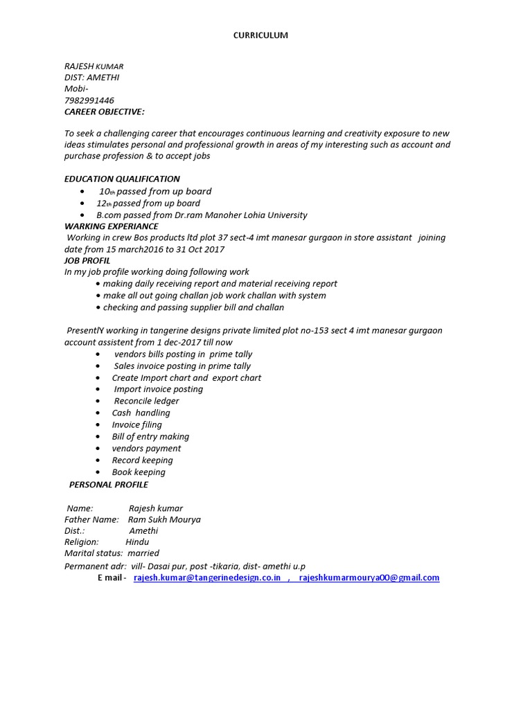 Rajesh Kumar's Professional CV | PDF