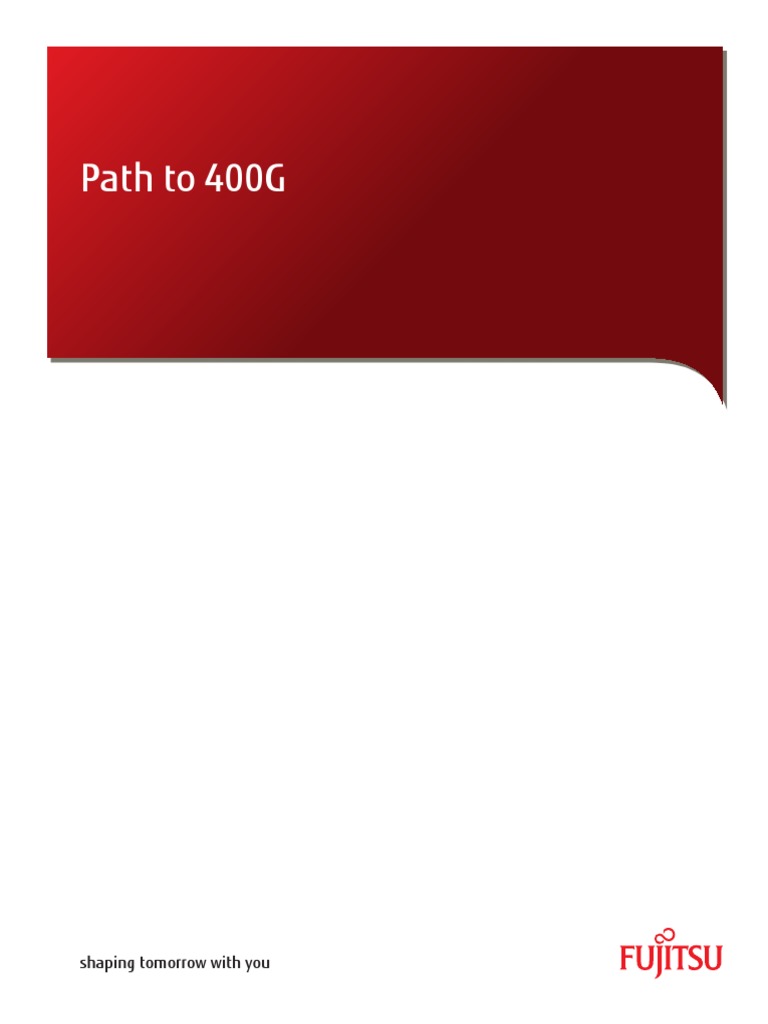 Path to 400g pdf