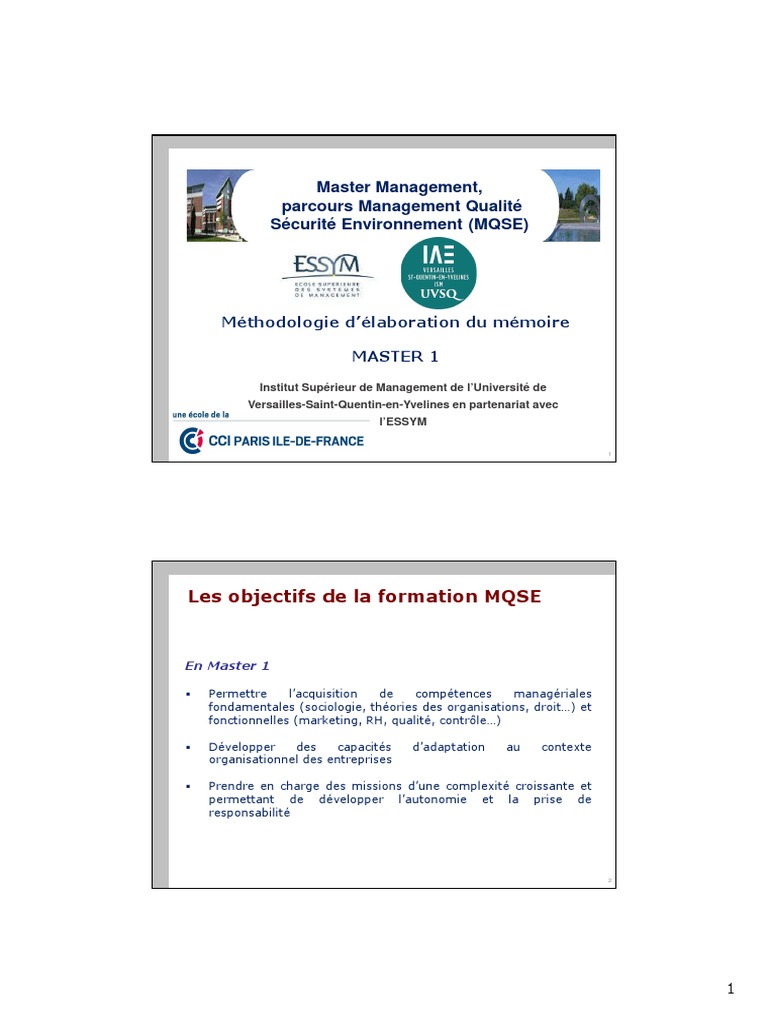 Mémoire Master MQSE : Guide de Rédaction | PDF